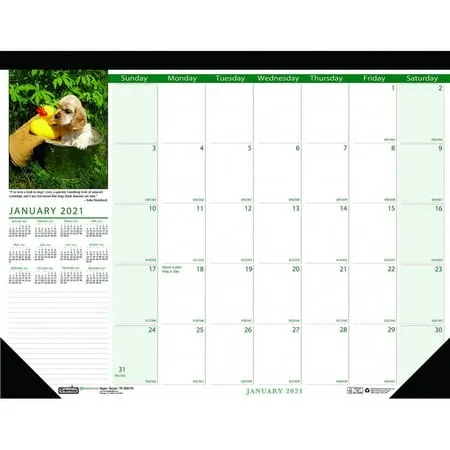 House of Doolittle Monthly Desk Pad Calendar Earthscapes Puppies 22 x 17 Inches