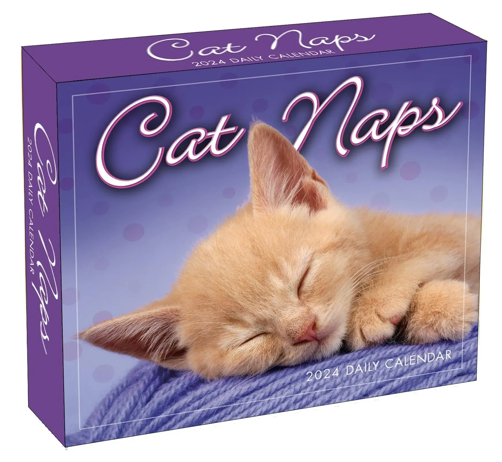 CAT NAPS- 2024 DAILY DESK CALENDAR - BRAND NEW - 3696