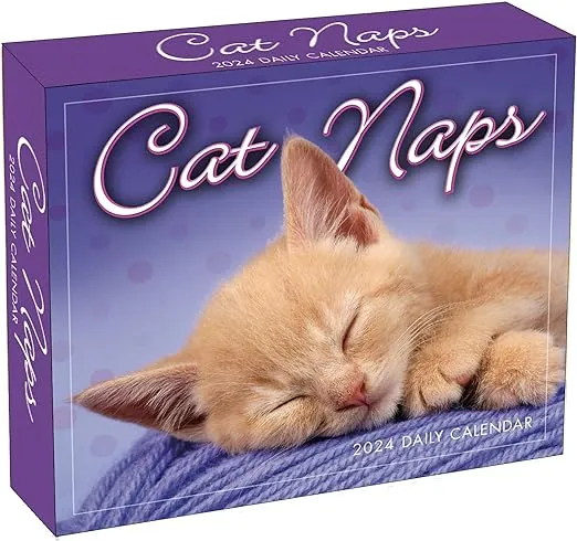 Sellers Publishing Cat Naps 2024 Desk Calendar Kittens Pet Lovers Birthday Gift