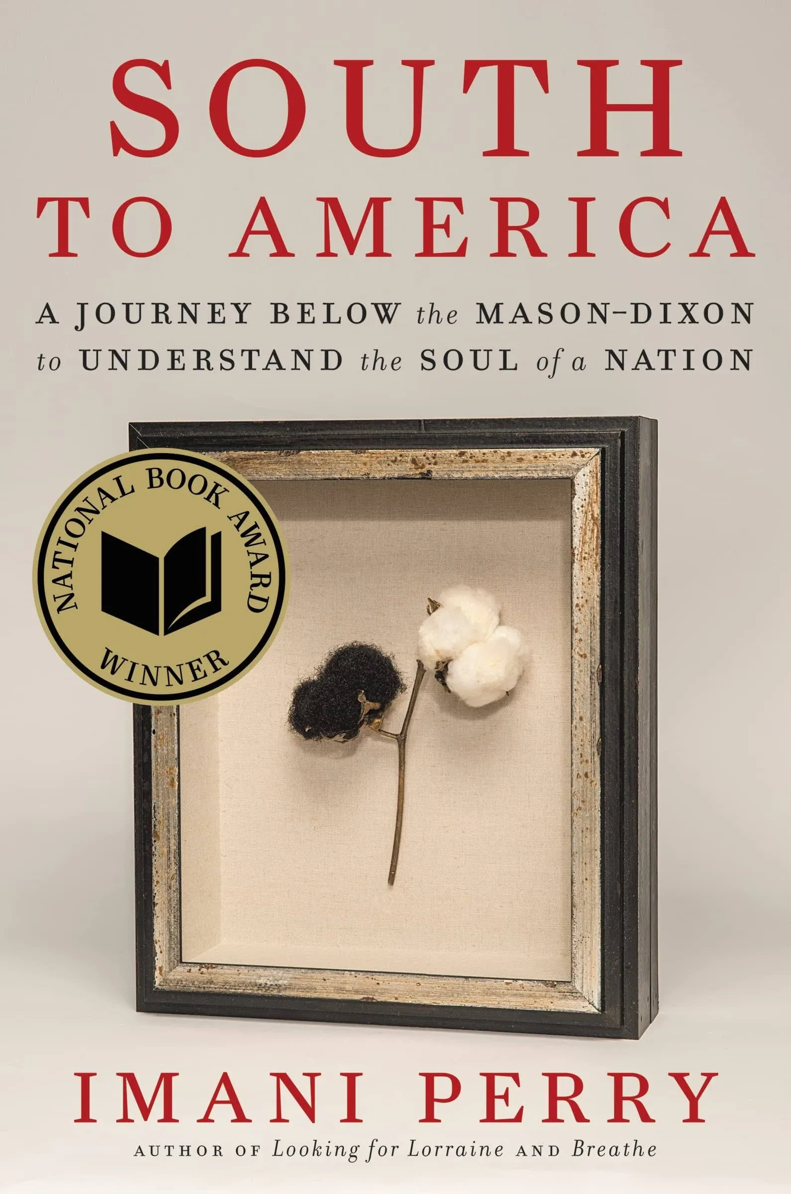 South to America: A Journey Below the Mason-Dixon to Understand the Soul of a Nation 