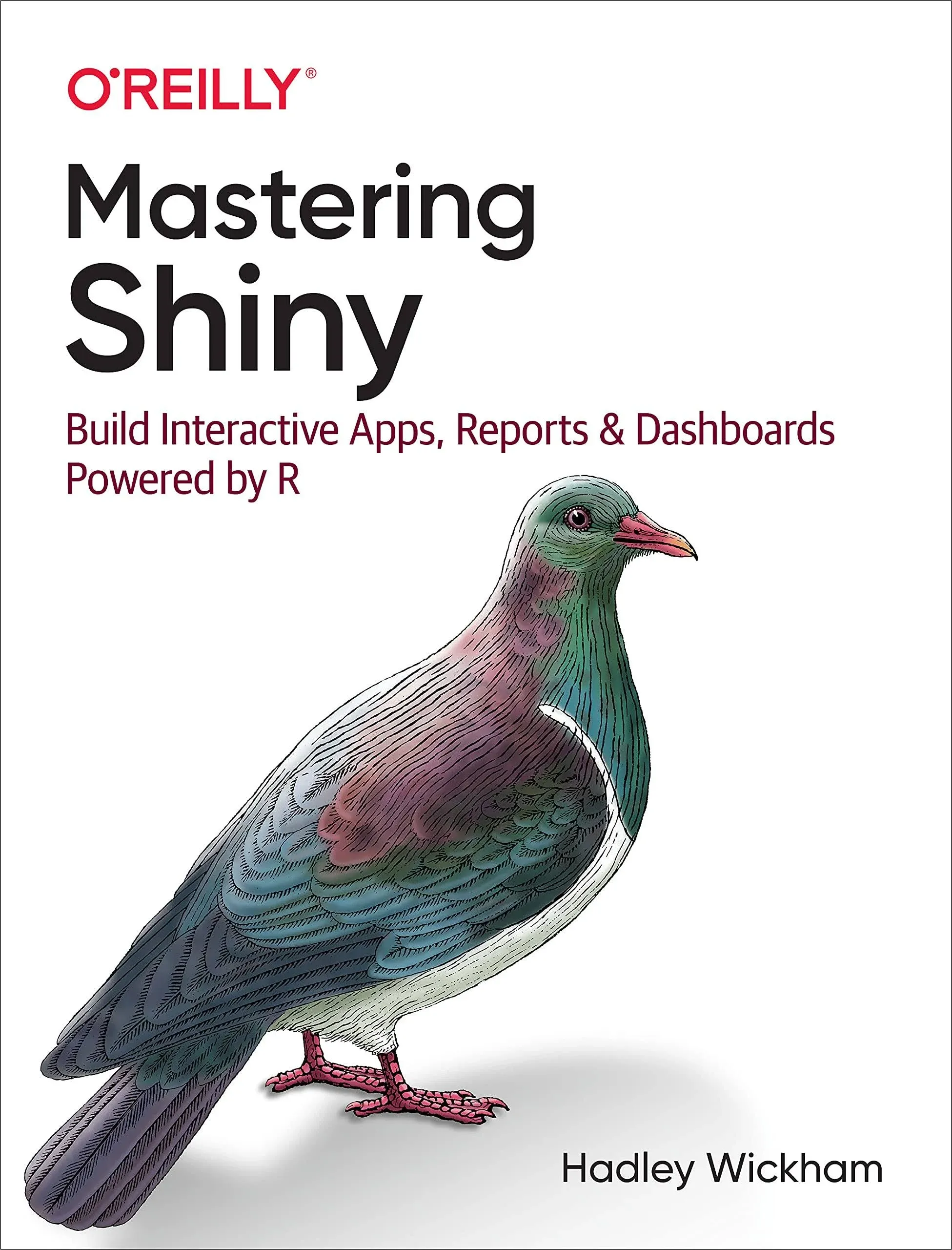 Mastering Shiny: Build Interactive Apps, Reports, and Dashboards Powered by R