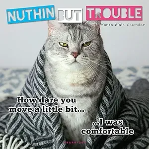 Nuthin But Trouble 2024 Wall Calendar