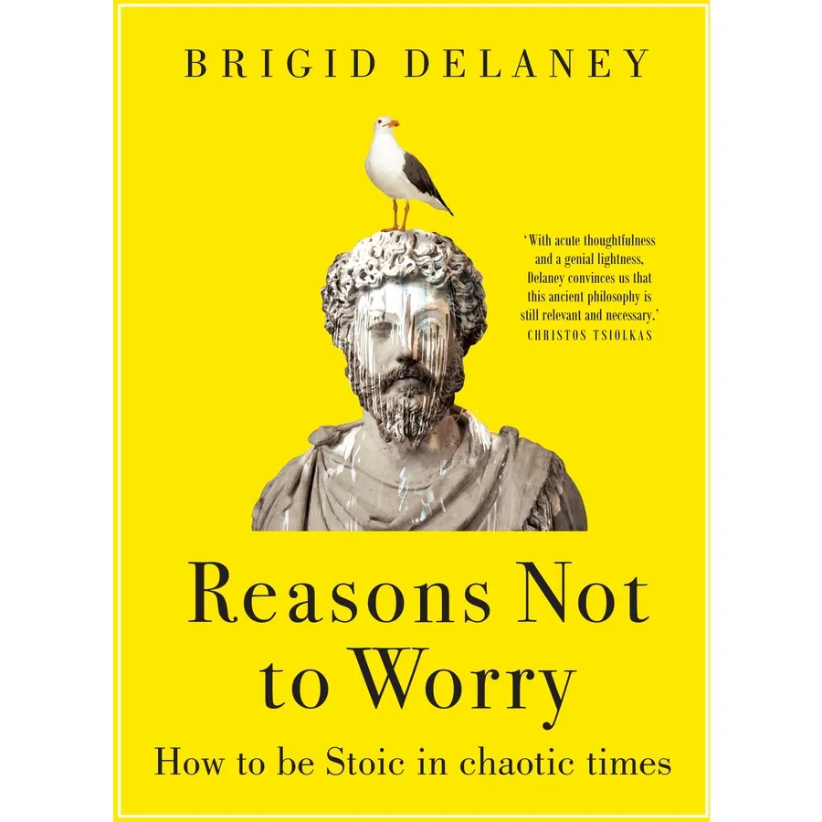 Reasons Not to Worry by Brigid Delaney