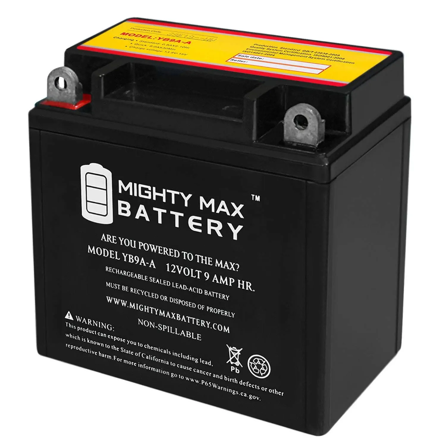 Mighty Max YB9A-A 12V 9AH Battery Replacement for M229AY, M329AY, MOSM329AY  | eBay