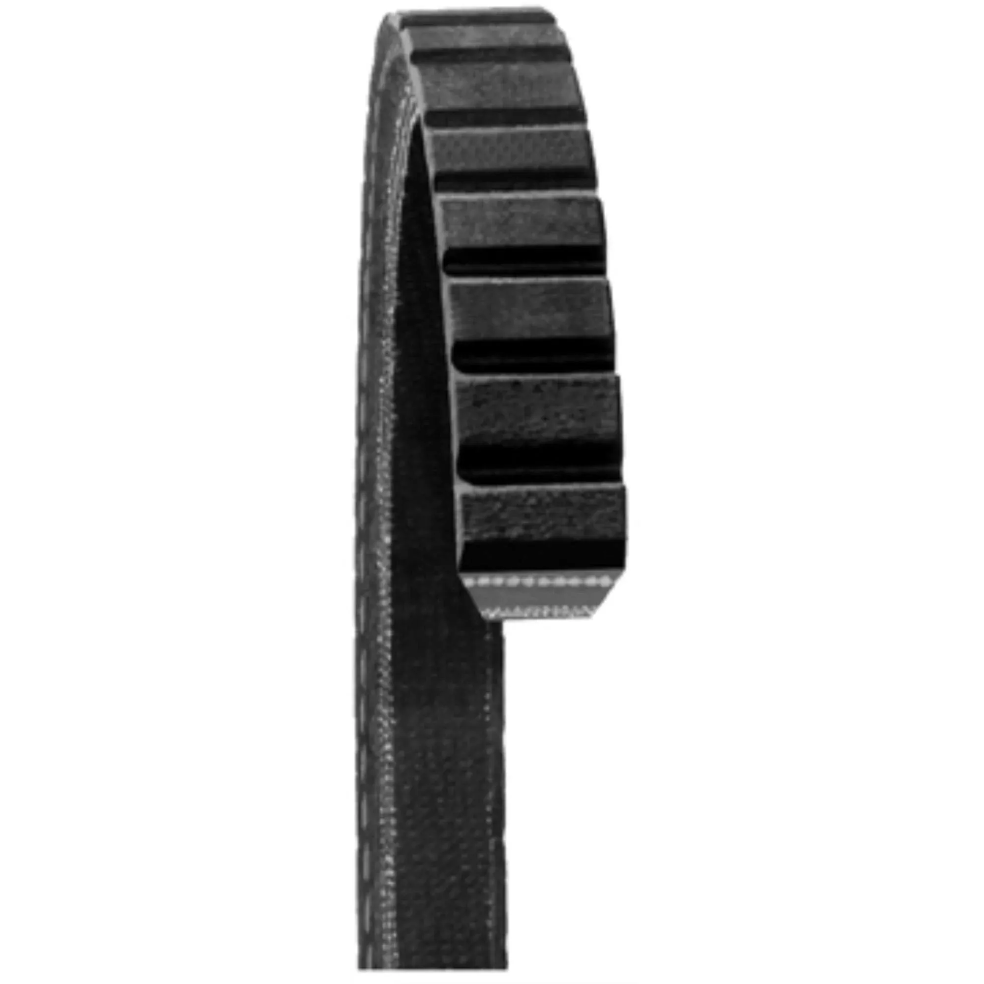 Dayco 15565 - Accessory Drive Belt