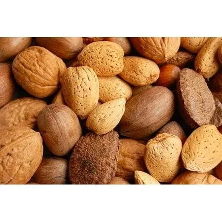 California Fresh Raw In-shell Whole Mixed Nuts 5 LB