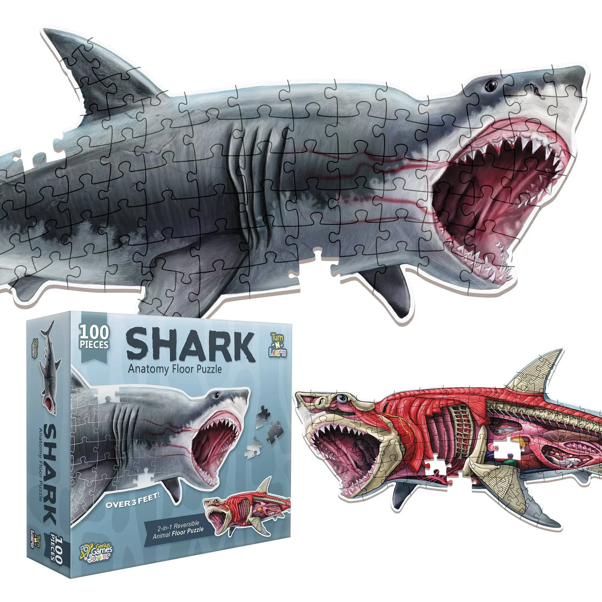 Puzzle: Animal Anatomy - Floor Puzzle: Shark 100 Piece