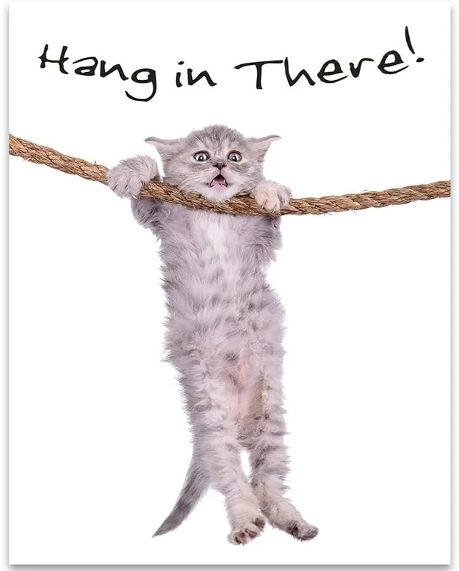 Hang in There - Motivational Quote Encouragement Poster, Inspirational Art Animal Print for Home Decor Office Decor, Cute Gift Idea for Cat Lovers, 11x14 Unframed Art Print Poster