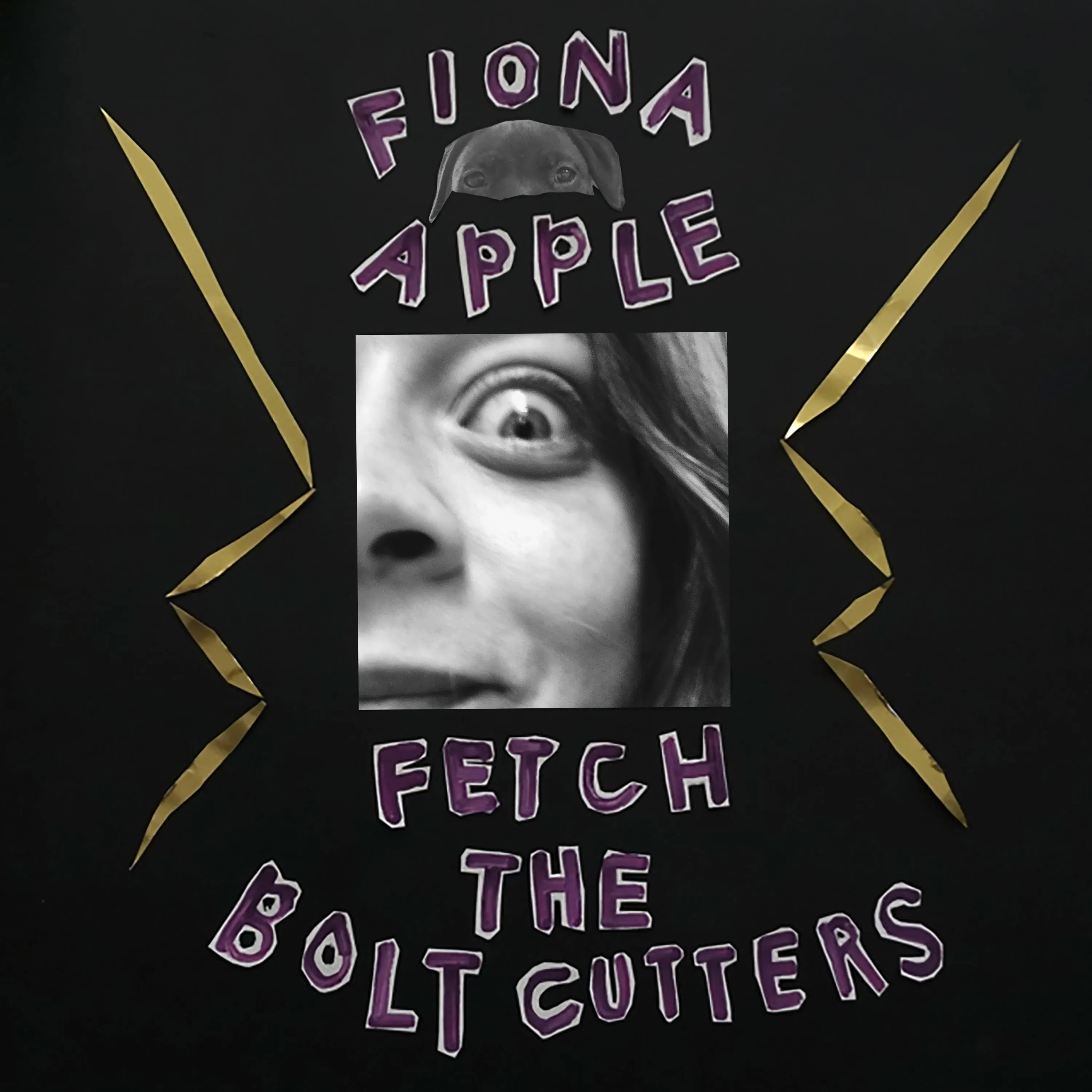 Apple ,Fiona - Fetch The Bolt Cutters [Vinyl]