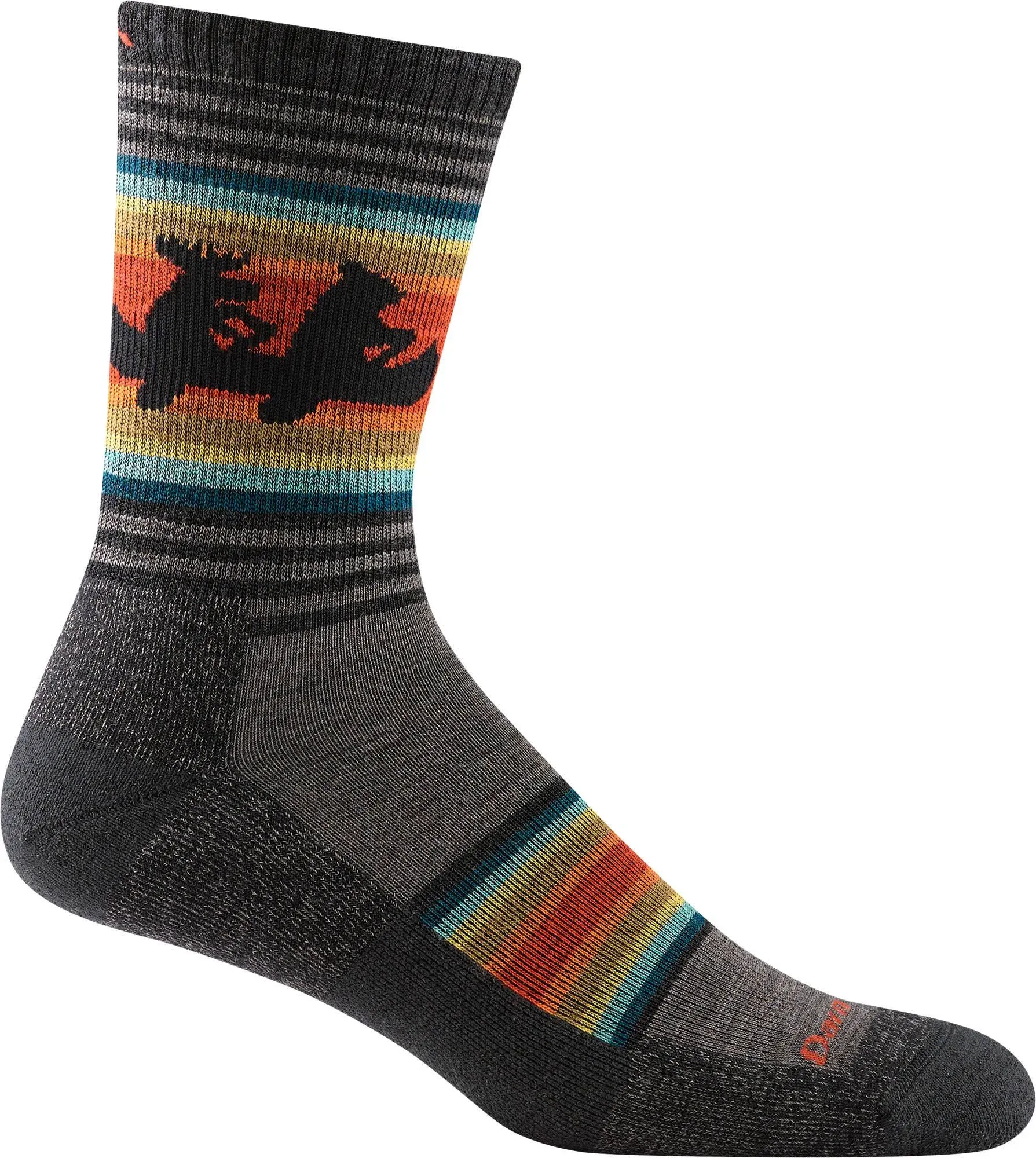 Darn Tough Men's Willoughby Micro Crew Hiking Sock