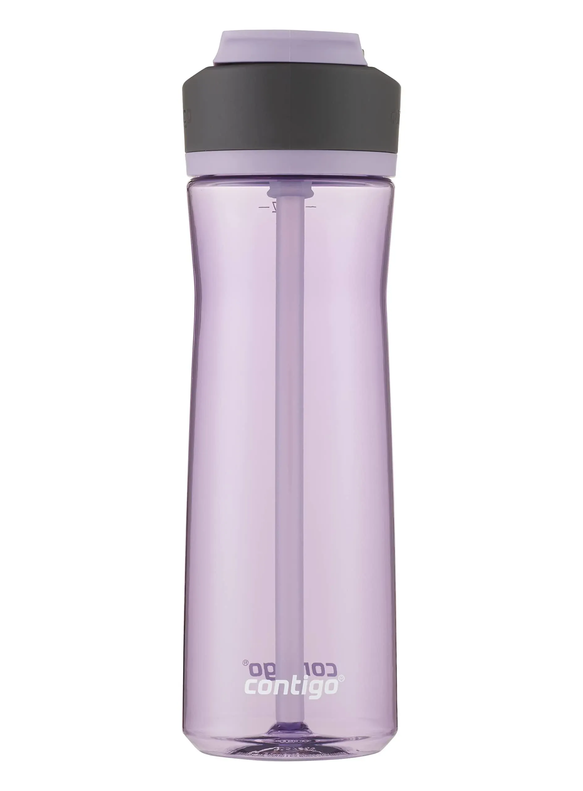 Contigo 24 oz. Ashland 2.0 Tritan Water Bottle with Autospout Lid - Lavender