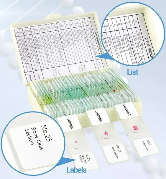 BEBANG 30 Microscope Slides with Specimens for Kids, Prepared Microscope Slides for Kids Microbiology, Glass Slides for Microscope, Biology Gifts for Adults Kids