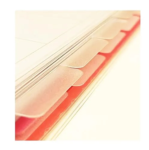 6 Clear Blank Binder Dividers for 9-Discs Classic Size (7'' x 9.25'') Planners Semi-Transparent