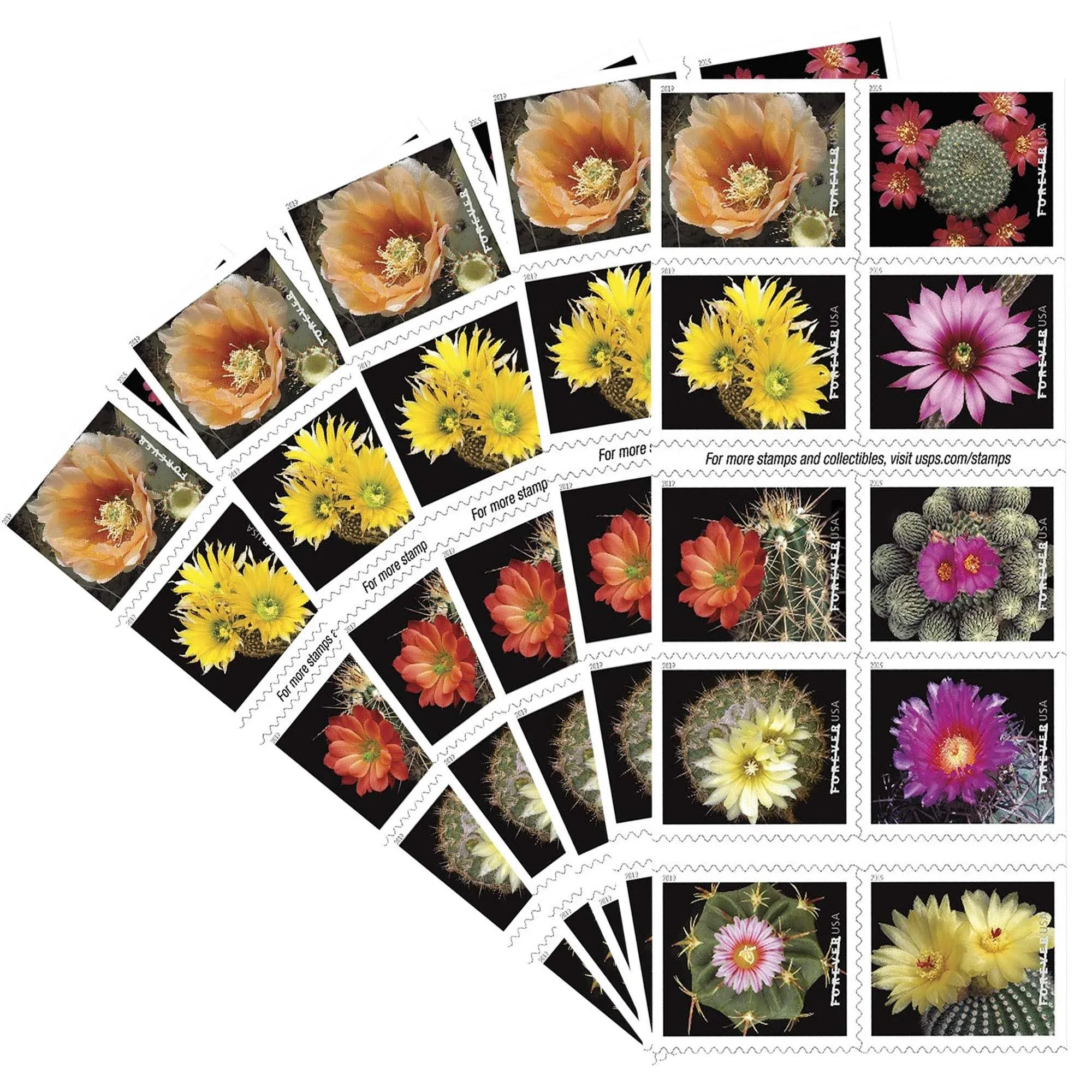 Cactus Flowers 5 Books of 20 Forever First Class USPS Postage Stamps Celebration Wedding (100 Stamps)