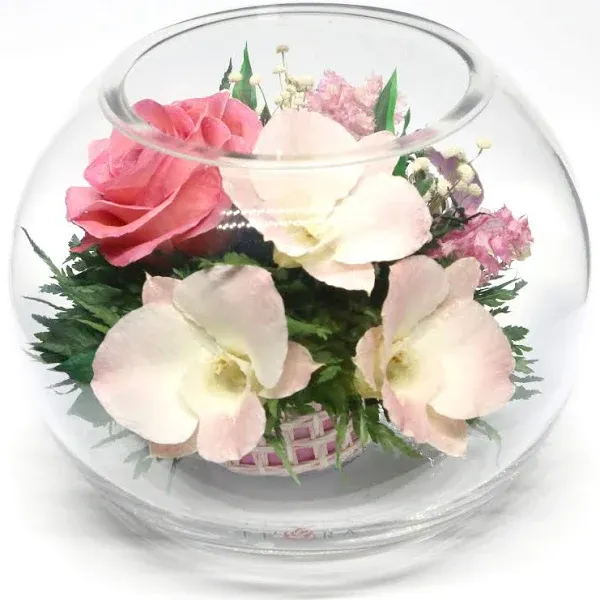 Fiora Flower Long Lasting Pink Roses and Orchids with Greenery in a Round Glass Vase