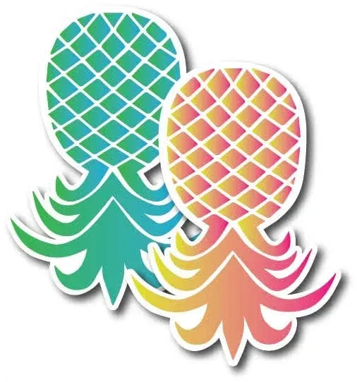 Magnet Me Up Upside Down Pineapple Magnet Decal, 2 Pack, One Pink and Yellow and One Blue and Green 4x6 inch, 2 Pack, Automotive Magnet for Car