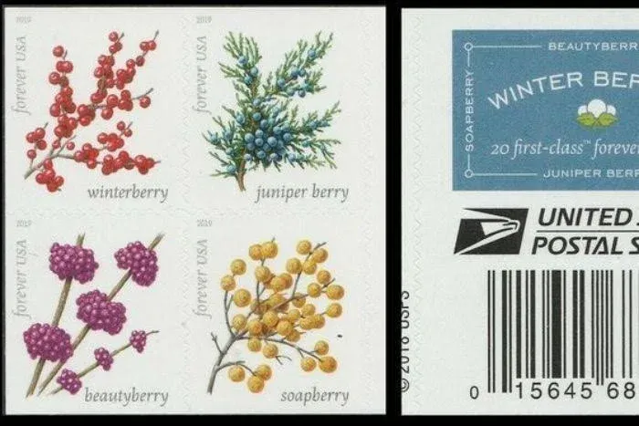 USPS Winter Berries Forever Stamps - Sheet of 20 Postage Stamps