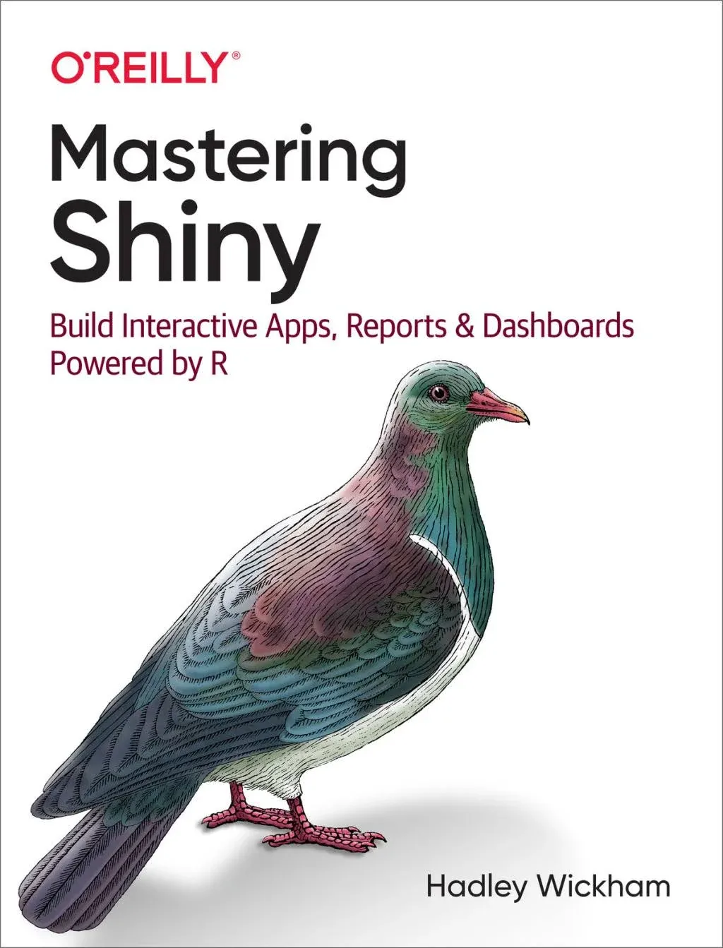 Mastering Shiny: Build Interactive Apps, Reports, and Dashboards Powered by R [Book]