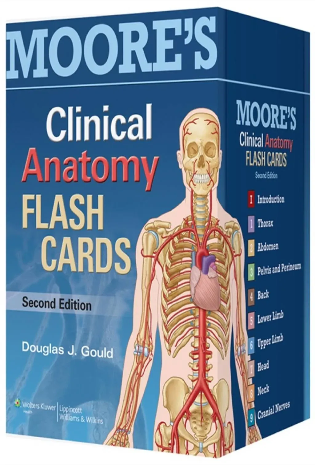 Moore's Clinical Anatomy Flash Cards [Book]