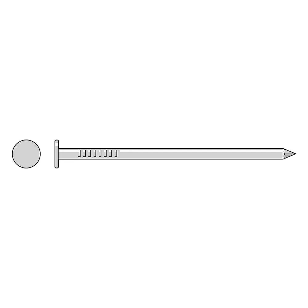 Common Nail, 3 in L, 10D, 18-8 Stainless Steel, 9 ga