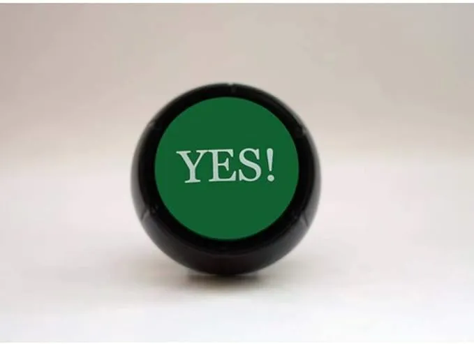 Zany Toys LLC The "Yes!" Button