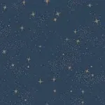 Peel and Stick Wallpaper Navy and Metallic upon a Star