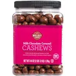 Wellsley Farms Milk Chocolate Covered Cashews 44 oz