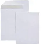 Amazon Basics Catalog Mailing Envelopes, Peel and Seal, 9x12 Inch, 100-Pack, White