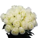 50 Stems - Fresh Cut White Roses - Delivery for Valentines Day