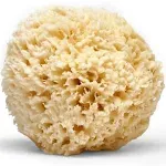 LATHER Natural Sea Wool Sponge 4-6” - Gentle Exfoliating Loofah for Invigorating Spa Experience - Natural Bath Sponge Varies in Size & Shape - Organic Loofah