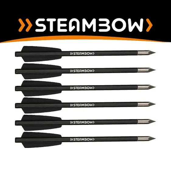 AR-Series Aluminum Bodkin Arrows - Set of 6