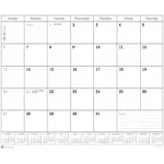 2024 Dacasso Monthly Calendar Refill, 24.5 x 16, White (S2001)