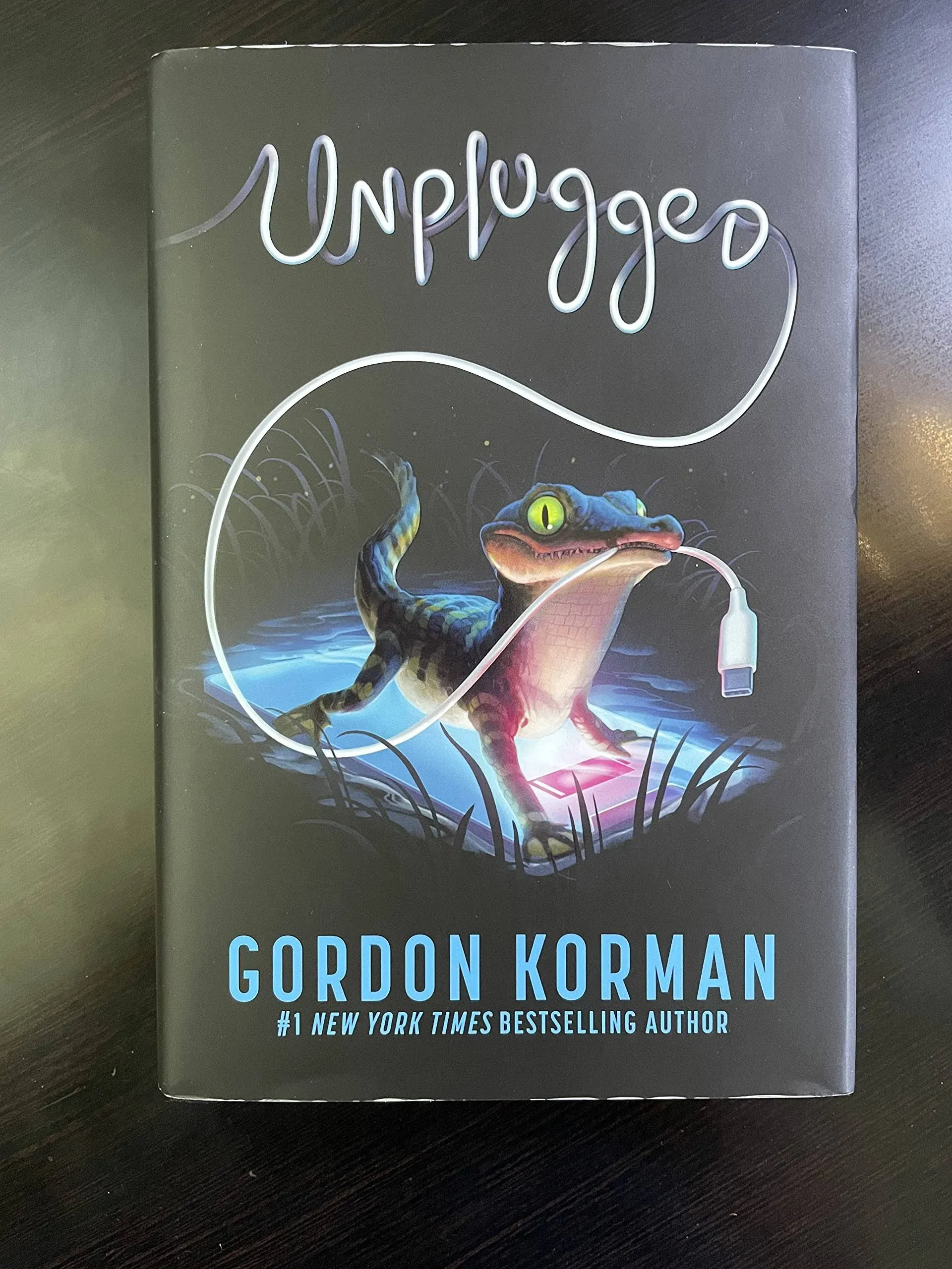 Unplugged [Book]