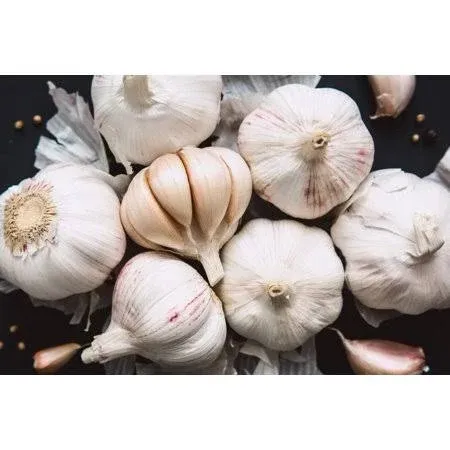 Fresh Garlic Cloves for Planting - Easy to Grow Your Own Food