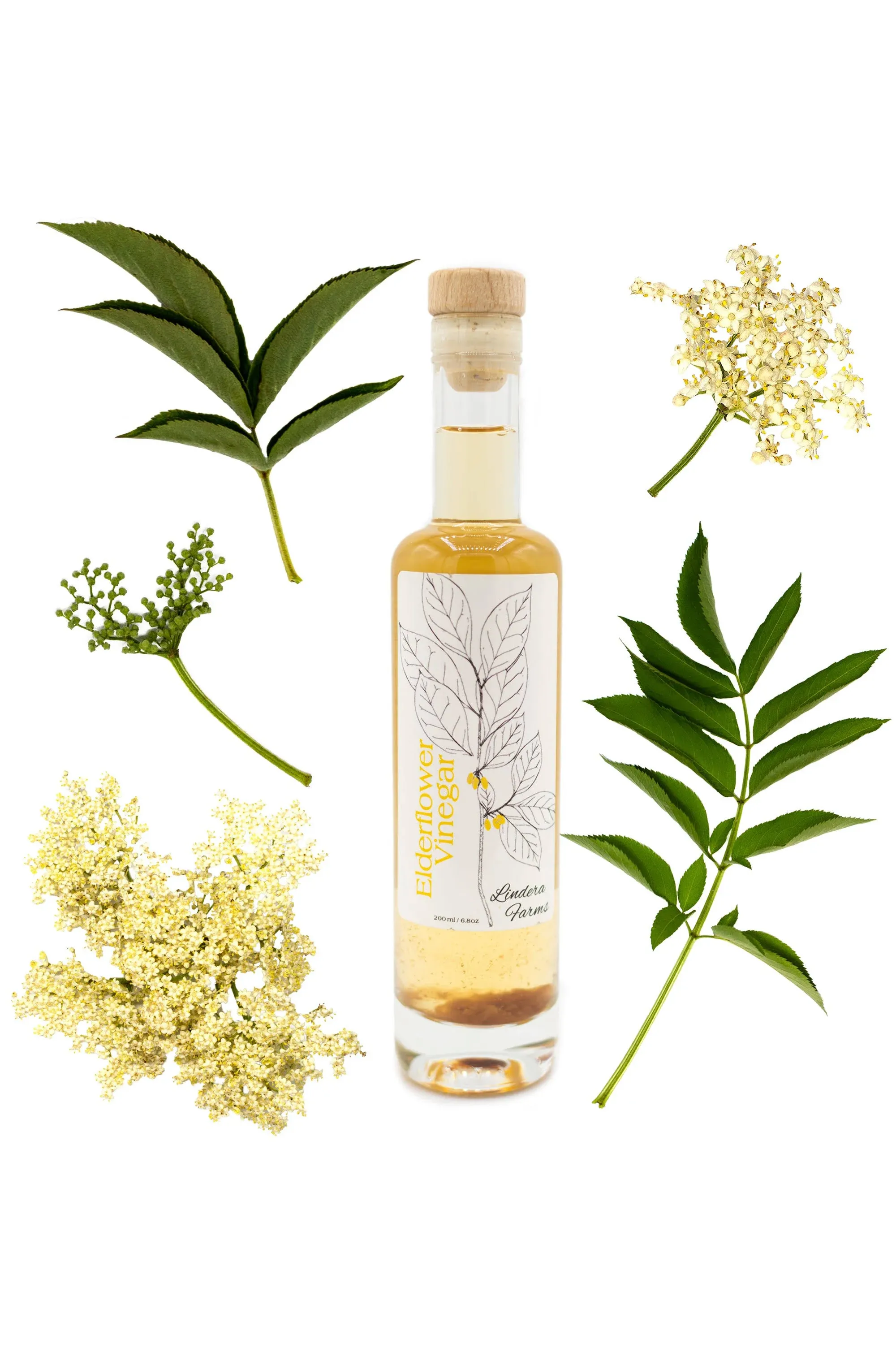 Elderflower Vinegar