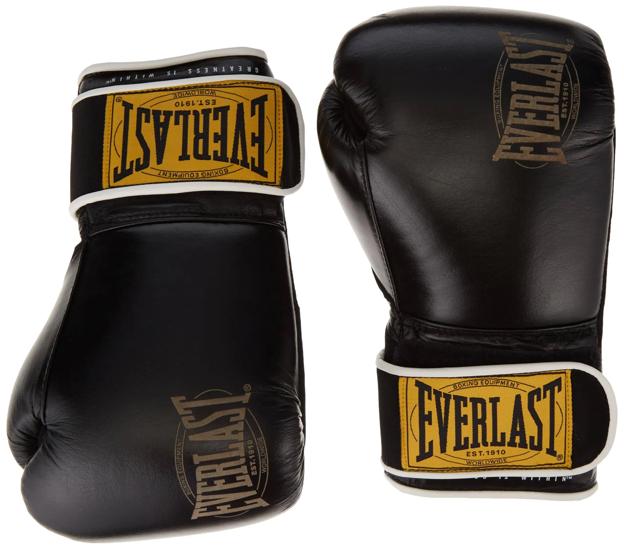 Everlast 1910 Classic Unisex Training Gloves Black 16 oz