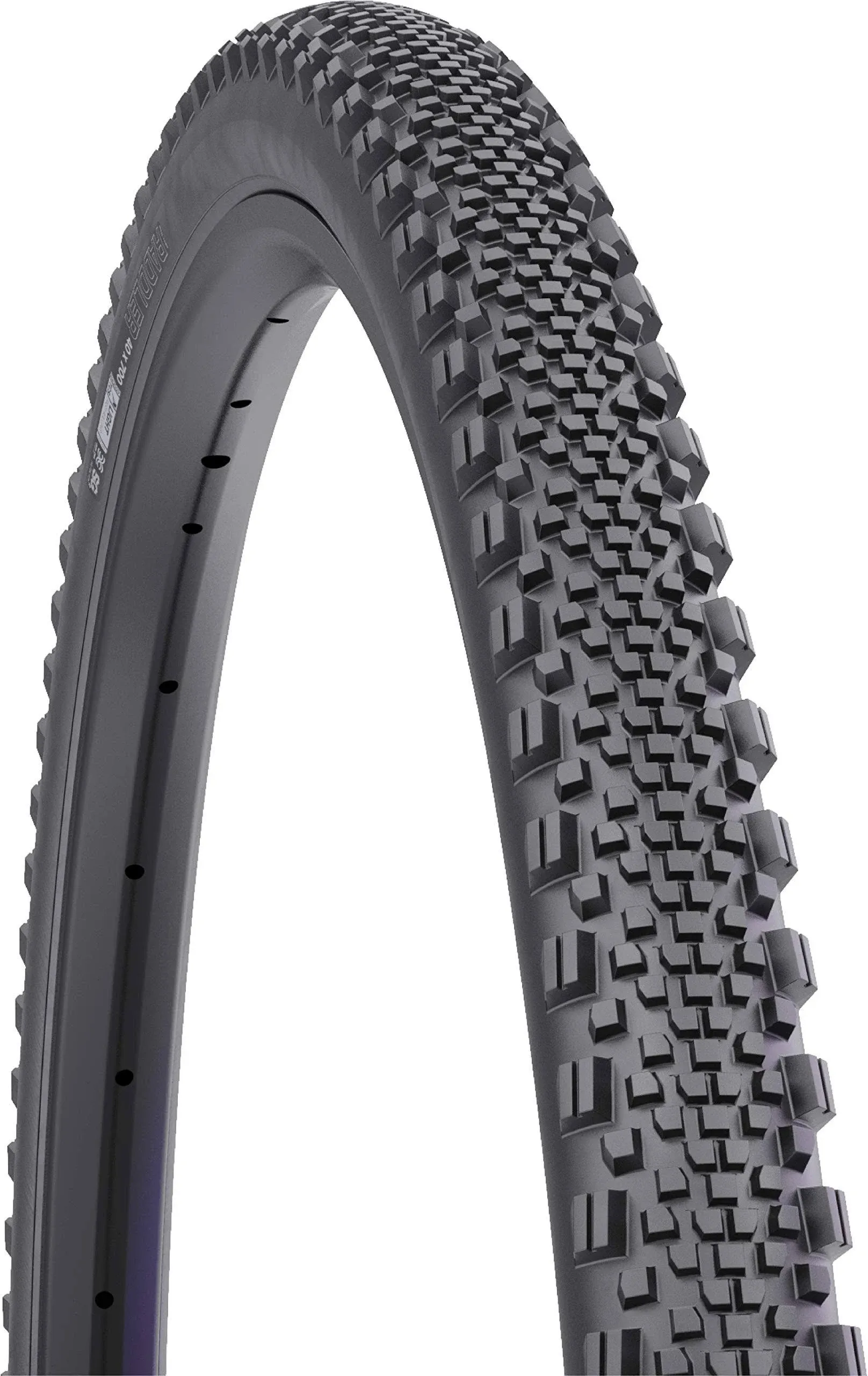 WTB Raddler TCS Tire