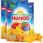 Dried Mango Slices Delicious Texture Soft Juicy Low Sugar Added Dried Mango Naturally Ripened Mangos Dried Fruits Gluten