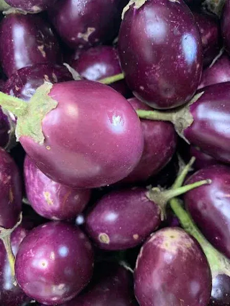 Kejora Fresh Indian Eggplant - 3 lbs