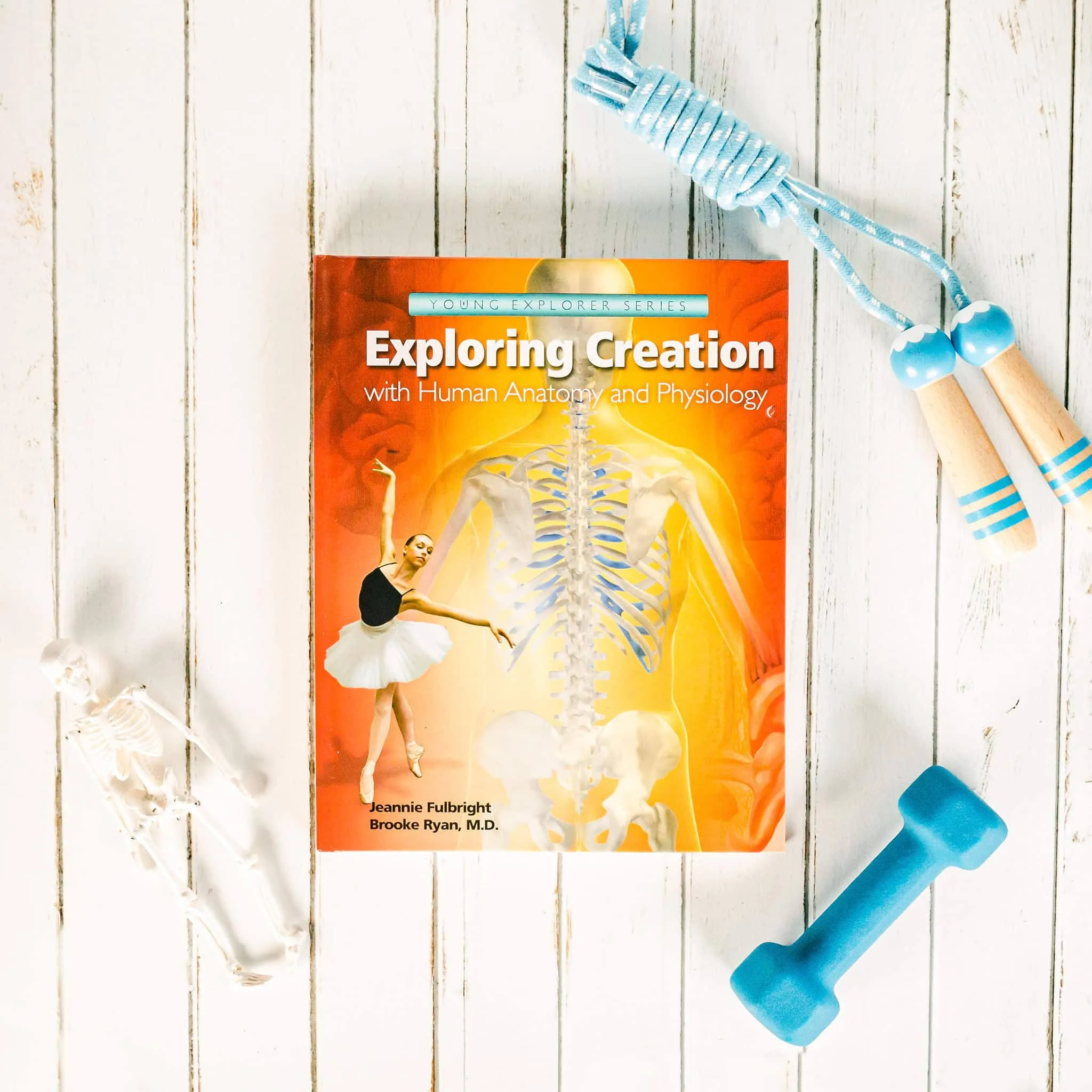 Exploring Creation with Human Anatomy and Physiology (Young Explorer Series)