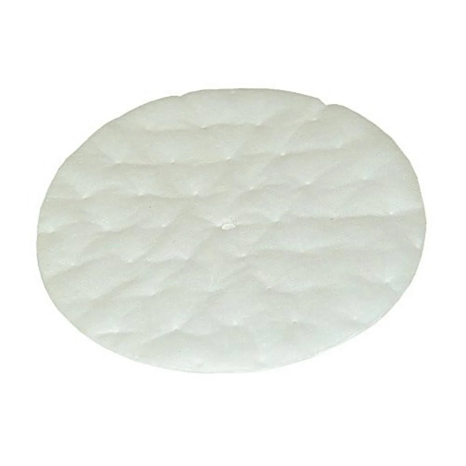 ProTeam 101220 High Filtration Discs for Dome Filter 2/pk