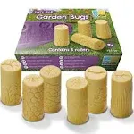 Yellow Door - Let's Roll, Garden Bugs Rollers, Set of 6