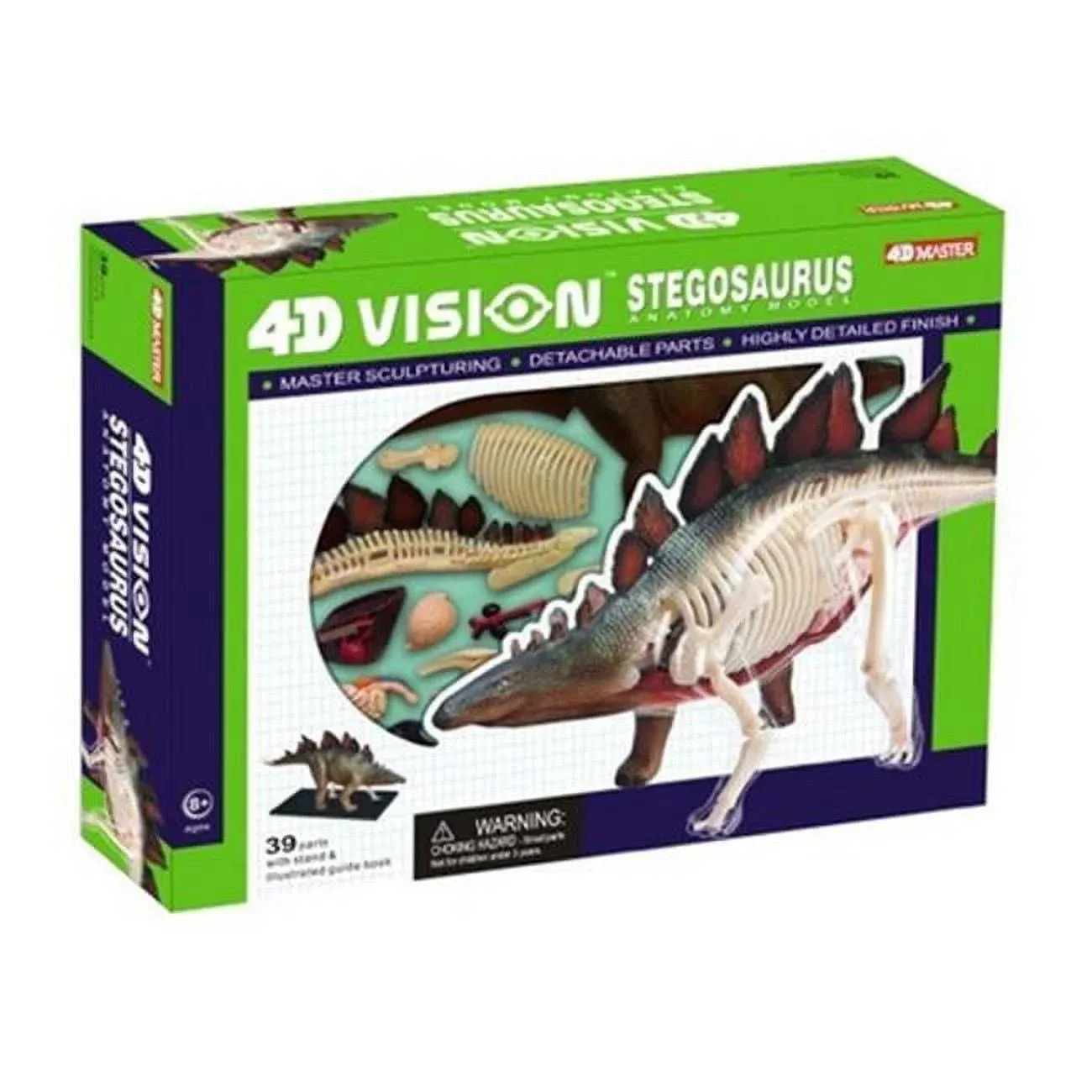 4D Vision - Stegosaurus Anatomy