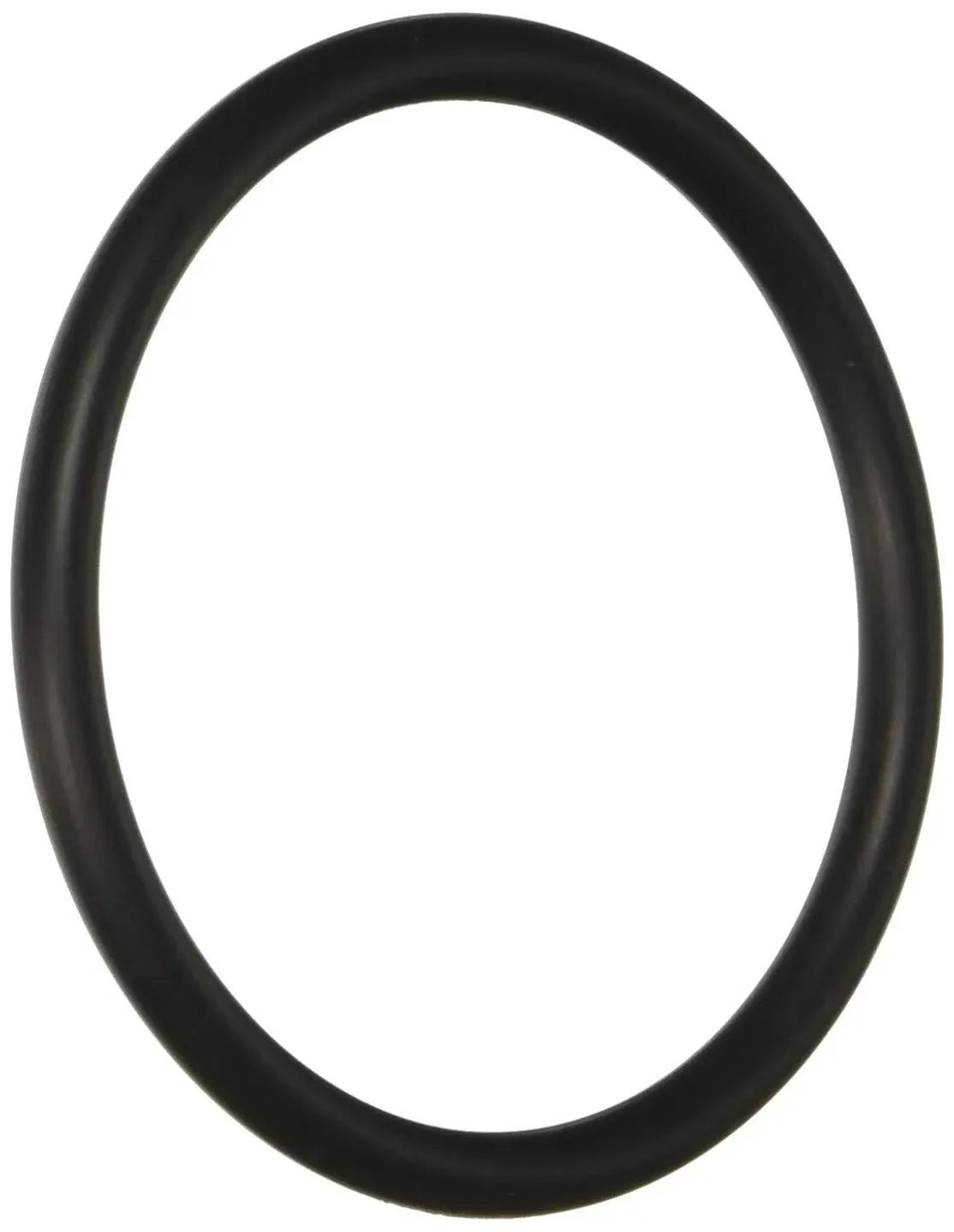 Hayward SX220Z2 Large O-ring Replacement for Hayward Pump and Filter