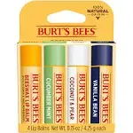 Burt&#039;s Bees Assorted Moisturizing Lip Balms (4 Pack) Cucumber, Coconut, Vanilla