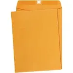 Amazon Basics 9 x 12-Inch Clasp Kraft Envelopes