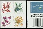 Book of 20 Winter Berries Postage Stamp 1 booklet Celebration Invitations Stamps